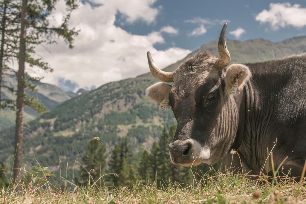 Landhaus Jenewein Obergurgl Zewnętrze zdjęcie
